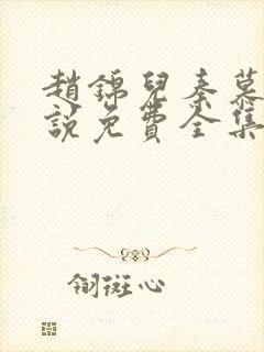 赵锦儿秦慕修小说免费全集封面