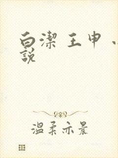 白洁 王申 小说封面