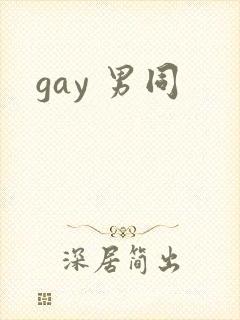 gay 男同