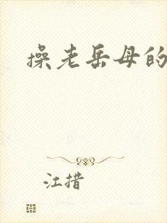 操老岳母的逼逼