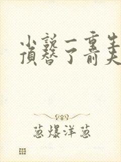 小说一重生后我顶替了前夫白月光