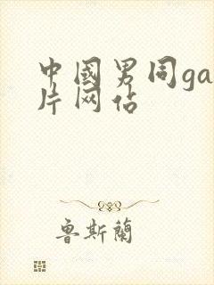 中国男同gay片网站