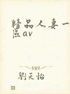 精品人妻一区二区av