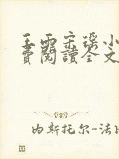 王雨宋瑶小说免费阅读全文最新章节封面