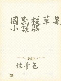 国民校草是女生小说版