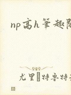 np高h笔趣阁