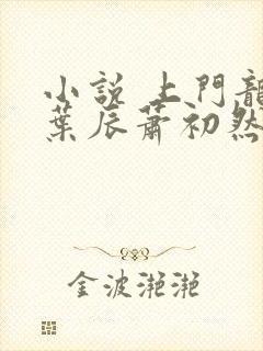 小说 上门龙婿叶辰萧初然