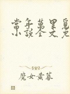 当年万里觅封侯小说全文免费阅读全文