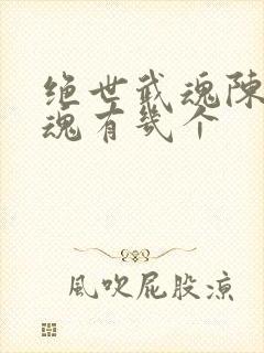 绝世武魂陈枫武魂有几个