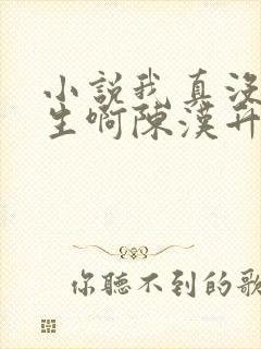 小说我真没想重生啊陈汉升全集