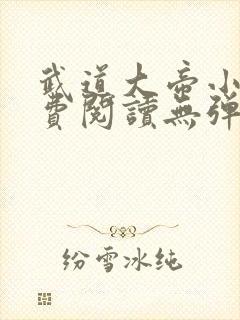 武道大帝小说免费阅读无弹窗
