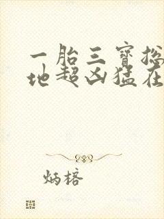 一胎三宝总裁爹地超凶猛在线全本阅读封面