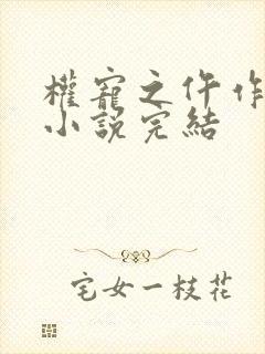 权宠之仵作医妃小说完结