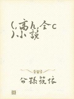 (,高h,全c)小说