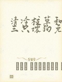 清冷校草和他的三只坏狗免费阅读