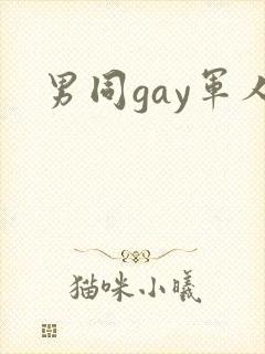 男同gay军人封面