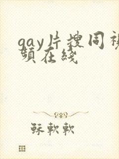 gay片搜同视频在线