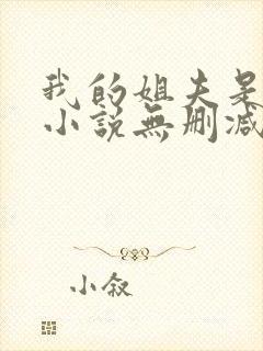 我的姐夫是太子小说无删减