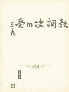 s受m攻调教高h