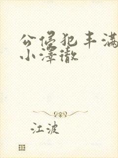 公侵犯丰满人妻小泽彻封面