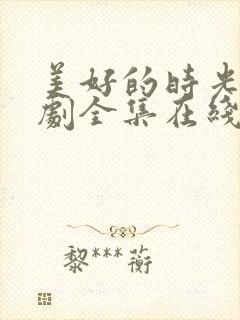 美好的时光电视剧全集在线观看免费