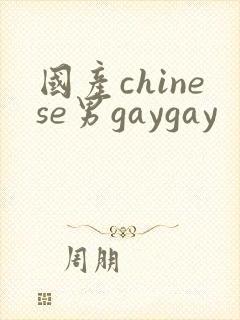 国产chinese男gaygay