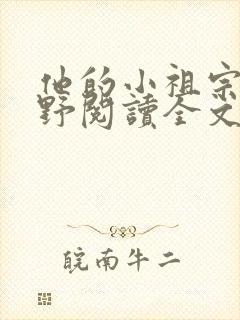 他的小祖宗甜又野阅读全文封面