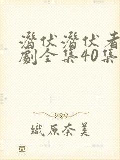 潜伏潜伏者电视剧全集40集免费观看