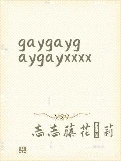 gaygaygaygayxxxx封面