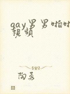 gay男男啪啪视频