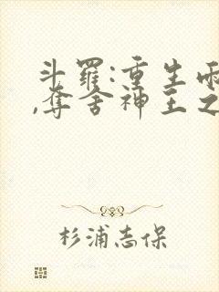 斗罗:重生雨浩,夺舍神王之子小说