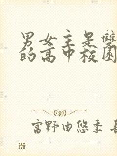 男女主是双学霸的高中校园小说封面