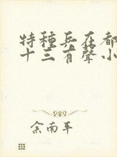 特种兵在都市夜十三有声小说封面