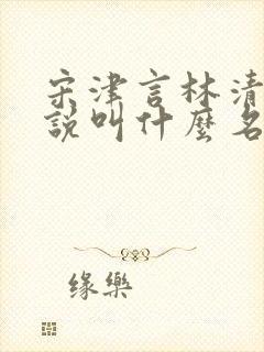 宋津言林清妍小说叫什么名字