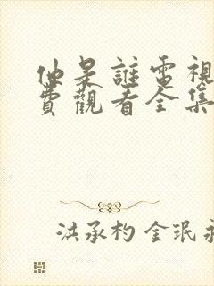 他是谁电视剧免费观看全集完整版封面