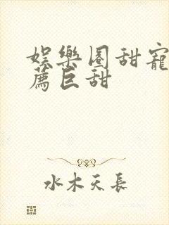 娱乐圈甜宠文推荐巨甜