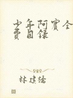 少年阿宾全文免费目录