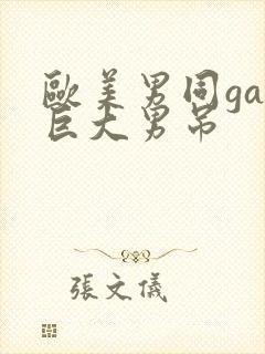 欧美男同gay巨大男吊