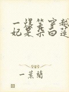 一爆笑穿越:王妃是朵白莲花