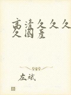 高清久久久久久久国产