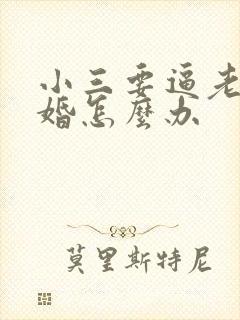 小三要逼老公离婚怎么办封面