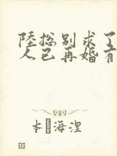 陆总别求了,夫人已再婚有娃了短剧免费观看