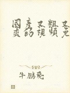 国产又粗又猛又爽的视频免费观看