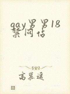 gay男男18禁网站