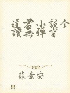 道君小说全文阅读无弹窗封面