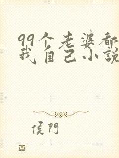 99个老婆都是我自己小说免费阅读