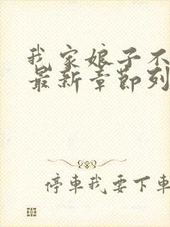 我家娘子不对劲最新章节列表免费封面