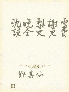 沈晚梨谢云迟小说全文免费阅读