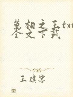 万相之王txt全文下载