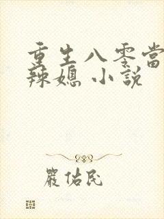 重生八零当家小辣媳 小说封面